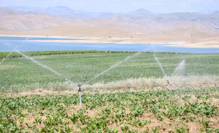 4 ilde 532 bin 512 dekar tarım arazisi sulandı