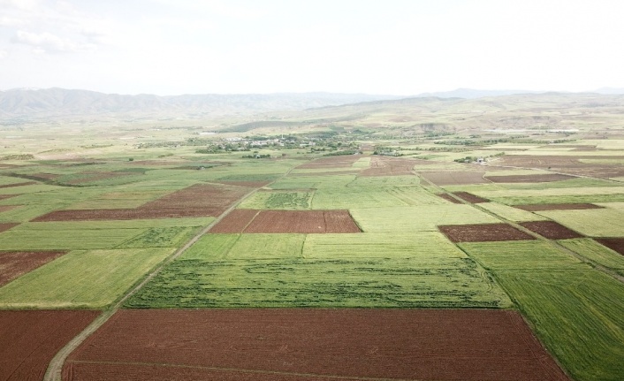 Elazığ’da arazi toplulaştırma çalışmaları sürüyor