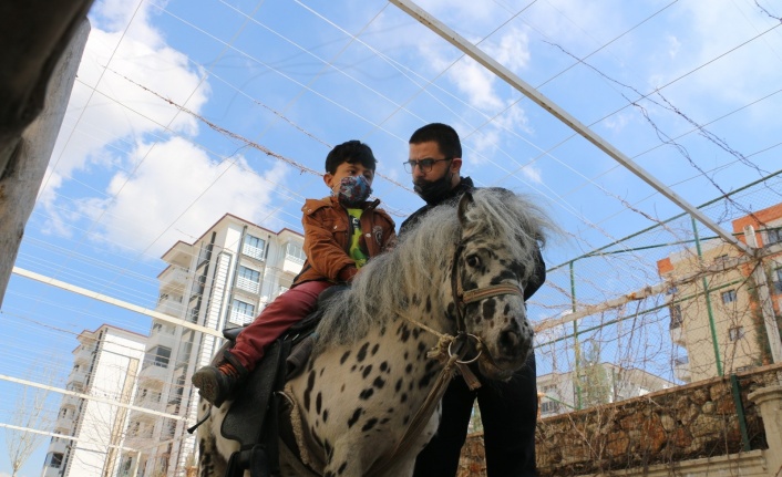 Otizmli çocuklar, duyu odaları ve atla terapiyle hayata hazırlanıyor