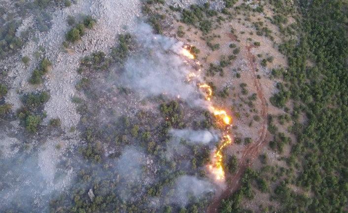 Orman yangınını söndürme çalışmaları çok sayıda ekiple sürüyor