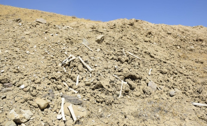 Elazığ’da içme suyu yolu mezarlık içinden geçince, kemikler etrafa saçıldı
