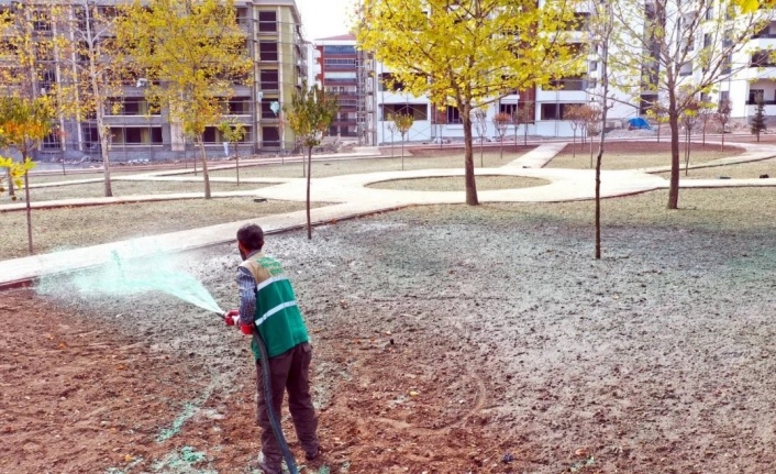 Elazığ Belediyesinden soğuğa dayanıklı yeşillendirme çalışmaları