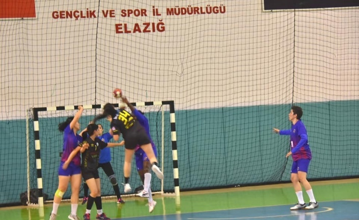 Kadınlar Hentbol 1. Ligi: Elazığ SYSK: 20 - Mersin Büyükşehir Belediyespor: 22