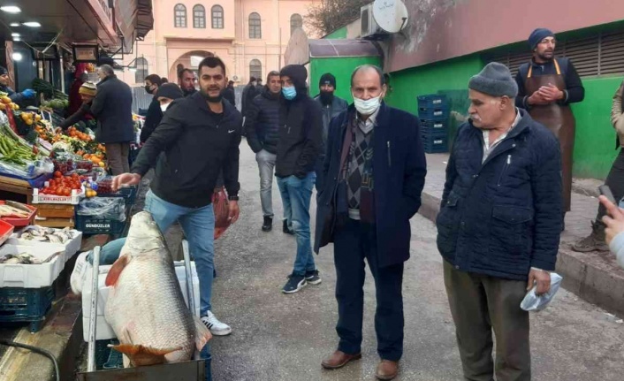 Elazığ’da 60 kiloluk dev turna balığı yakalandı