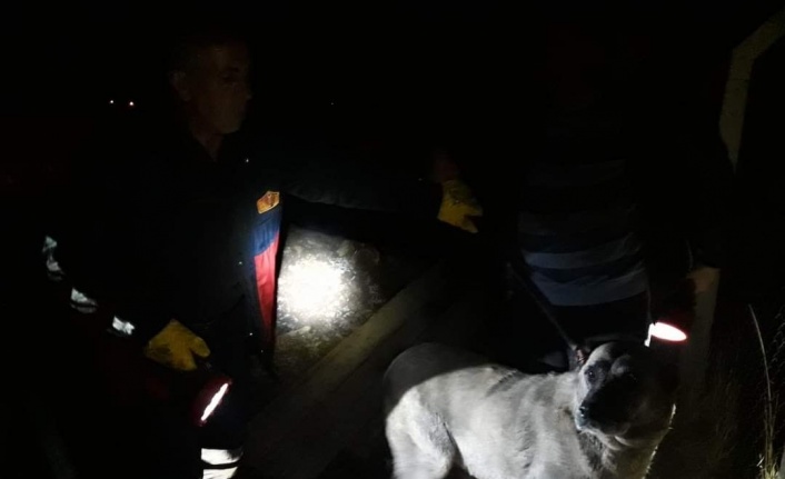 Kuyuya düşen köpek ve yavrusunu itfaiye ekipleri kurtardı