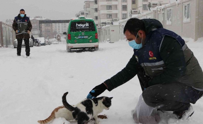 Elazığ’da ’HAYDİ’ polisleri sokak hayvanlarını mamayla besledi