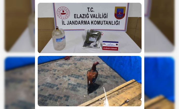 Elazığ’da horoz dövüşü operasyonu: 17 kişi yakalandı