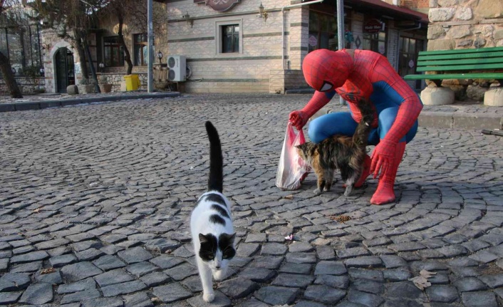 ’Örümcek Adam’  sokak hayvanlarının kahramanı oldu, görenler şaşkınlığını gizleyemedi