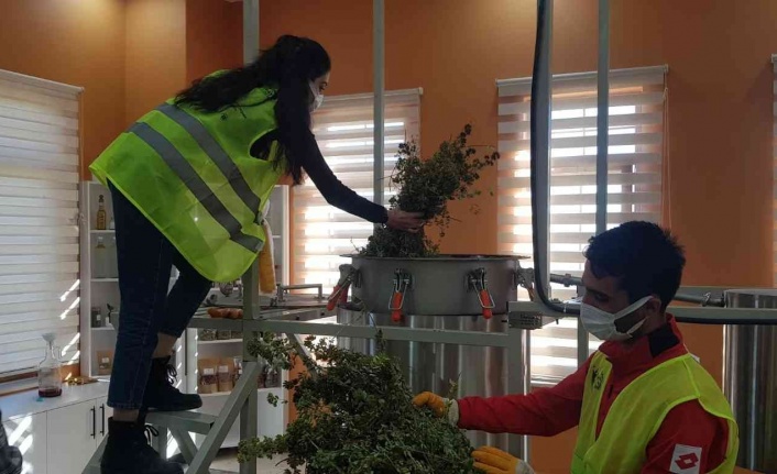 Gençlerin ürettiği bitki çayı ve sebze tohumları, Cumhurbaşkanı Erdoğan’a gönderiliyor