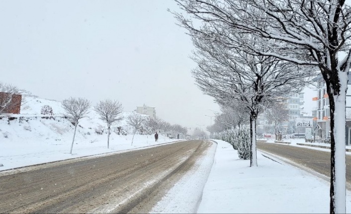 Elazığ’da kar yeniden başladı