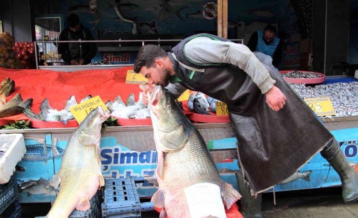 Elazığ’da sezonun son dev turna balığı yakalandı: Tam 103 kilogram
