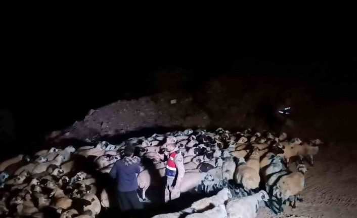 Elazığ’da jandarma kaybolan hayvanları dron ile buldu