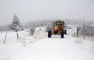 Elazığ’da kar nedeniyle 40 köy yolu kapalı