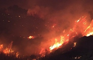 Bingöl’deki Orman Yangını Kontrol Altına Alındı