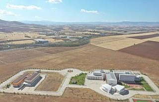 Elazığ’da 100 hektarlık alanda 46 bin adet fidan...