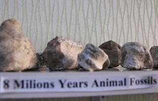 Elazığ’da 8 milyon yıllık hayvan fosilleri sergileniyor