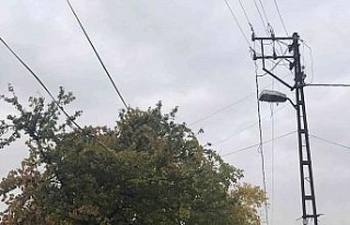 Ağaçların arasında kalan elektrik telleri tehlike...