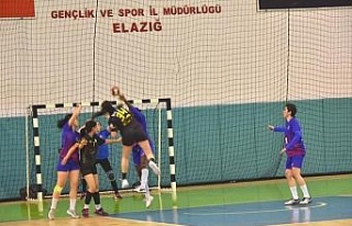 Kadınlar Hentbol 1. Ligi: Elazığ SYSK: 20 - Mersin...