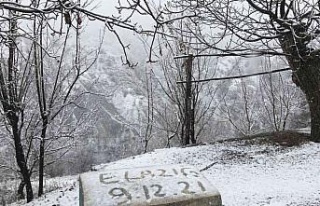 Elazığ’ın yüksek kesimlerinde kar etkili oldu