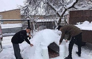 Elazığ’da 3 arkadaş kardan ev yapıp içinde...