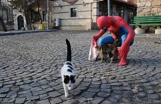 ’Örümcek Adam’ sokak hayvanlarının kahramanı...