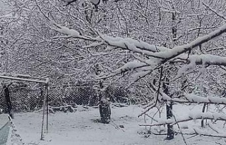 Mart ayında Elazığ’a lapa lapa kar yağdı