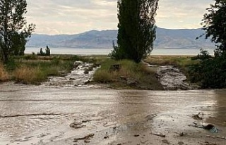 Elazığ’da tarım arazilerini sel vurdu