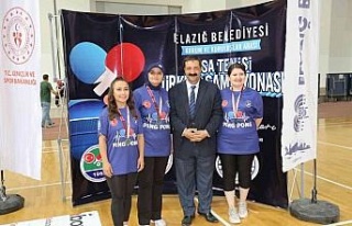 Kurum ve kuruluşlar arası masa tenisi Türkiye Şampiyonası...