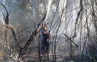 Elazığ’da ağaçlık alandaki yangın söndürüldü