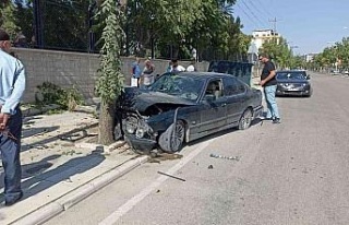 Elazığ’da otomobil ağaca çarptı: 1 yaralı