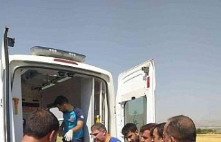 Elazığ’da kamyonet şarampole yuvarlandı: 3 yaralı
