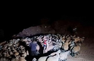 Elazığ’da jandarma kaybolan hayvanları dron ile...