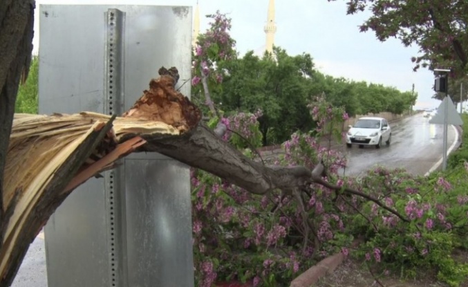 Elazığ’da fırtına sonrası çatılar uçtu, ağaçlar devrildi